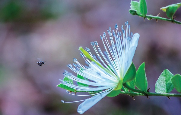The author and his uneasiness