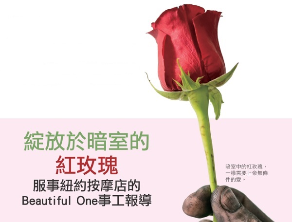 Red roses blooming in the dark room