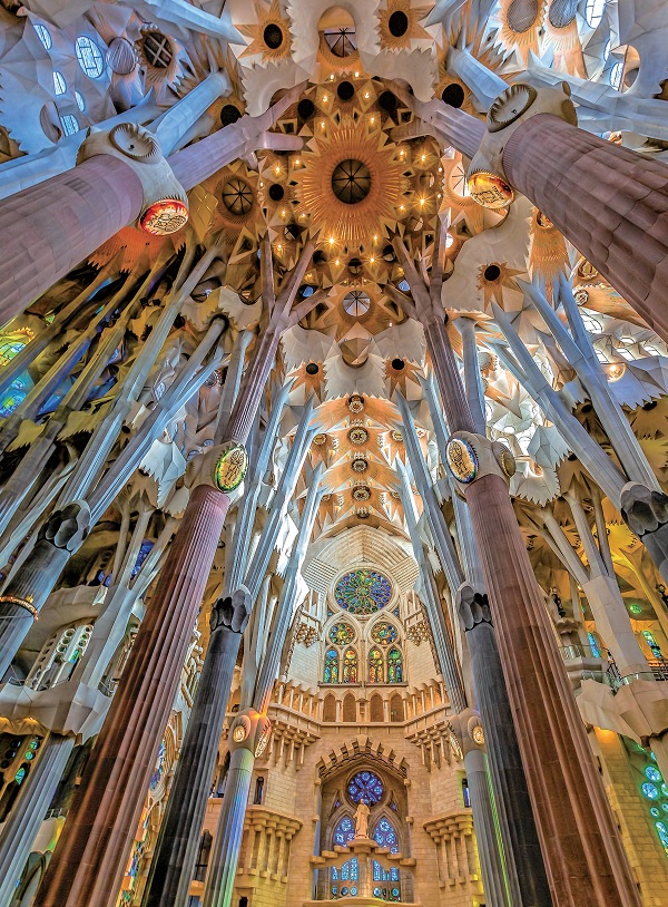 Beauty can make people forget clumsiness