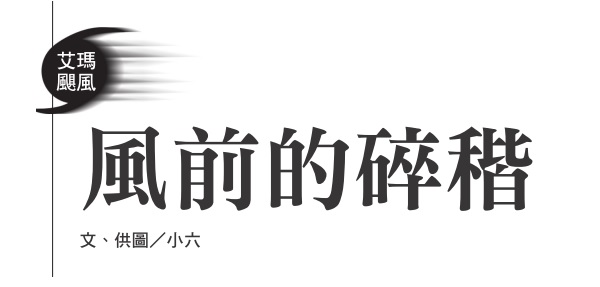 風前的碎稭