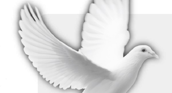 Calling the Messenger of Peace