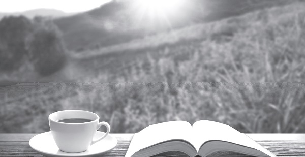 充满人文味的《神国》