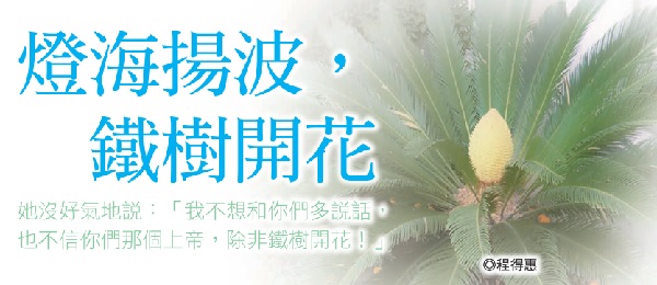 The sea of lights is shining, the iron tree is blooming