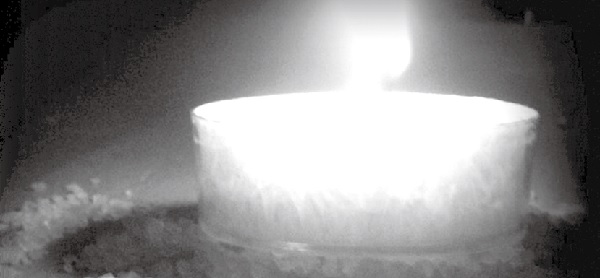 When it comes to elections, just stand on Jesus’ side