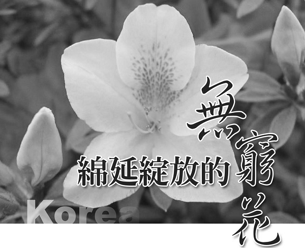 绵延绽放的无穷花: 韩国教会历史发展特点