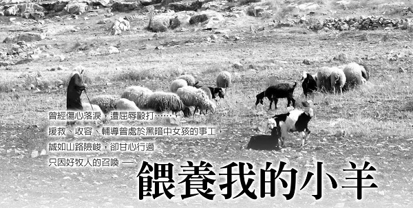 餵養我的小羊