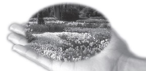 Garden in the palm of your hand