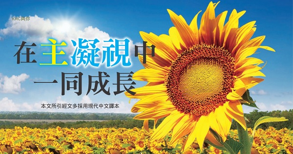 Grow together in the gaze of the Lord