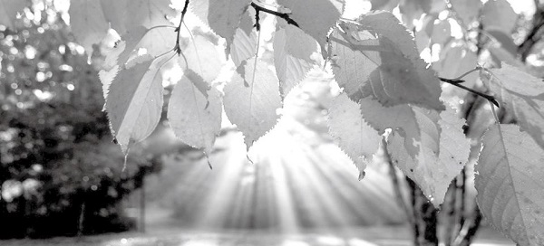 Let’s spend the rest of our lives together