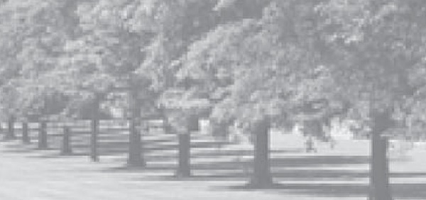 How can you be moved without taking action?