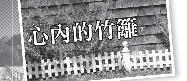 Bamboo fence in the heart