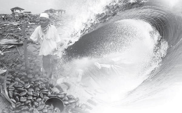 跨文化委身服事印尼咖啡族