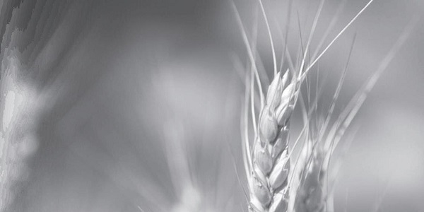 The Kingdom of God seeks resources, and the resources are for the Kingdom of God