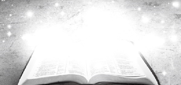 神国vs生命的圣经