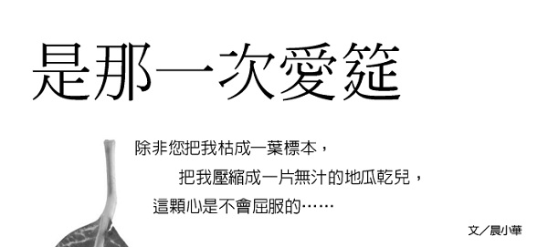 It was that love feast