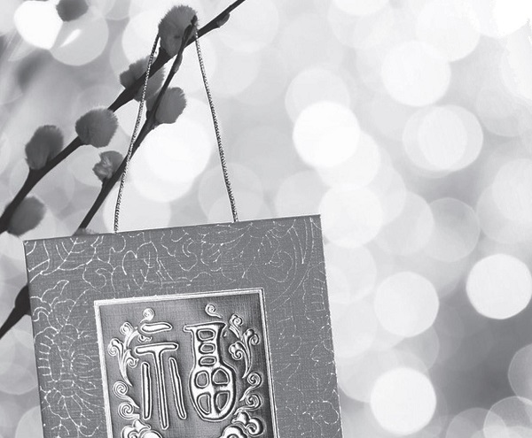 Mission to preach the Kingdom of God becomes a New Year gift