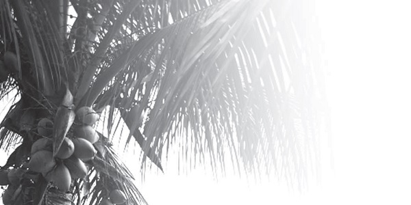 没有坏旅程，只有坏心情