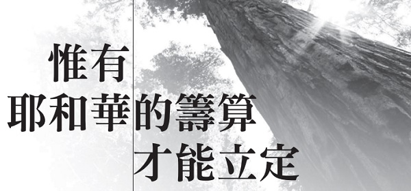 Only Jehovah’s plan can be established