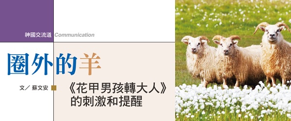 sheep outside the pen