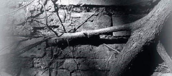 Crime and Punishment, Regret and Grace Part 2