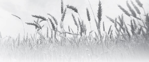 Let the reading of "Kingdom of God" move!