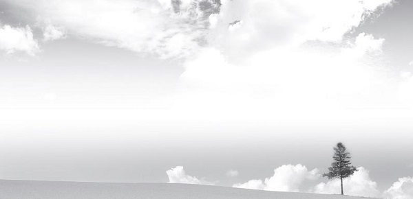 读《神国》，阔视野