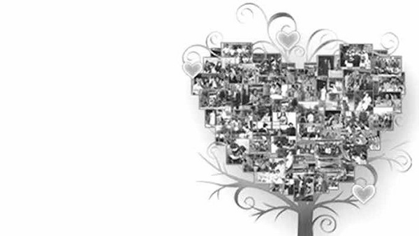 Rebuilding vision and building consensus