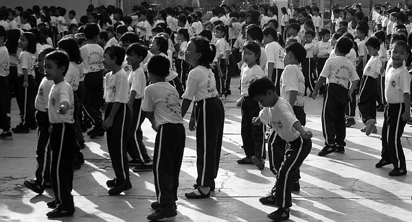 兴学为主传佳音