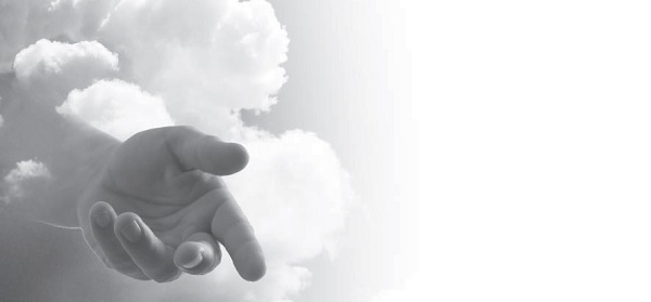 Look, who's coming to greet us!