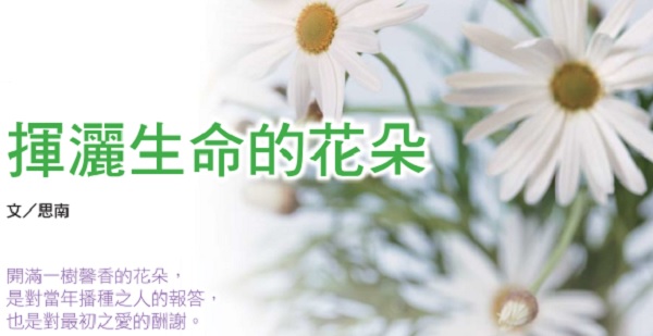 Flowers that spread life