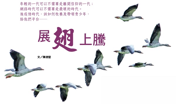 Spread your wings and soar