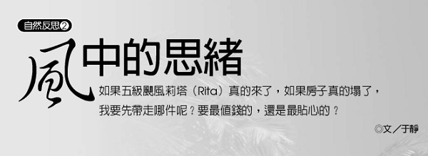 thoughts in the wind