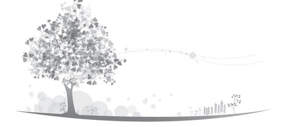 Live a life of splendor