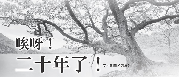 唉呀！二十年了！