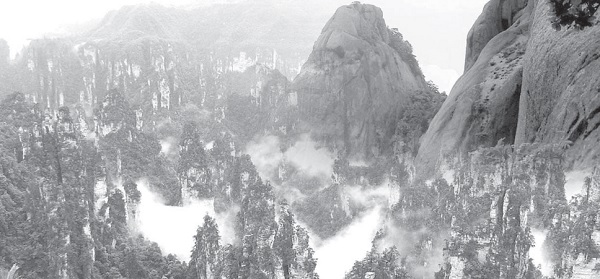 谁来述说我的故事？