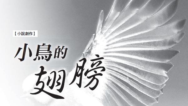 【Novel Creation】The Wings of a Bird