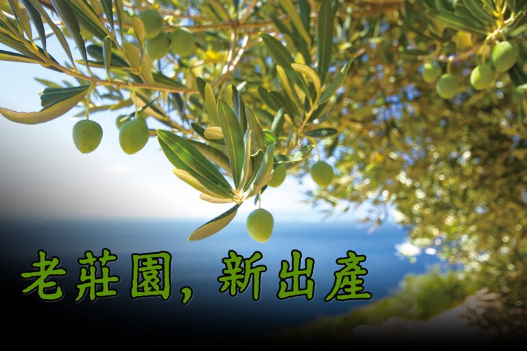 老庄园，新出产