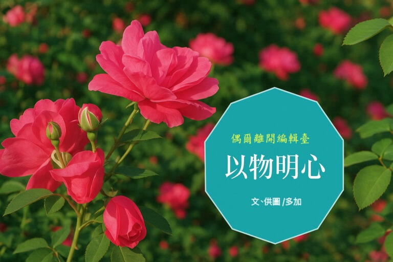 以物明心 【偶爾離開編輯臺】