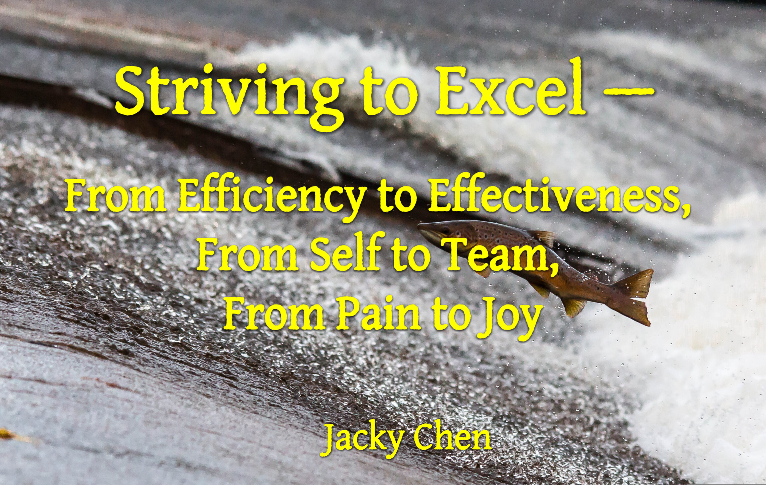 Striving to Excel — From Efficiency to Effectiveness, From Self to Team, From Pain to Joy