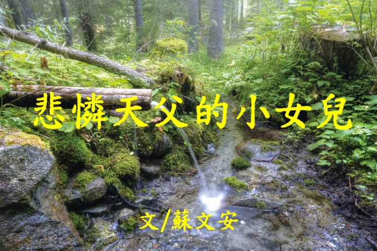 悲怜天父的小女儿