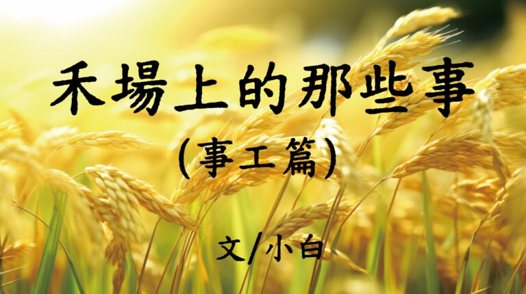 禾場上的那些事（事工篇）