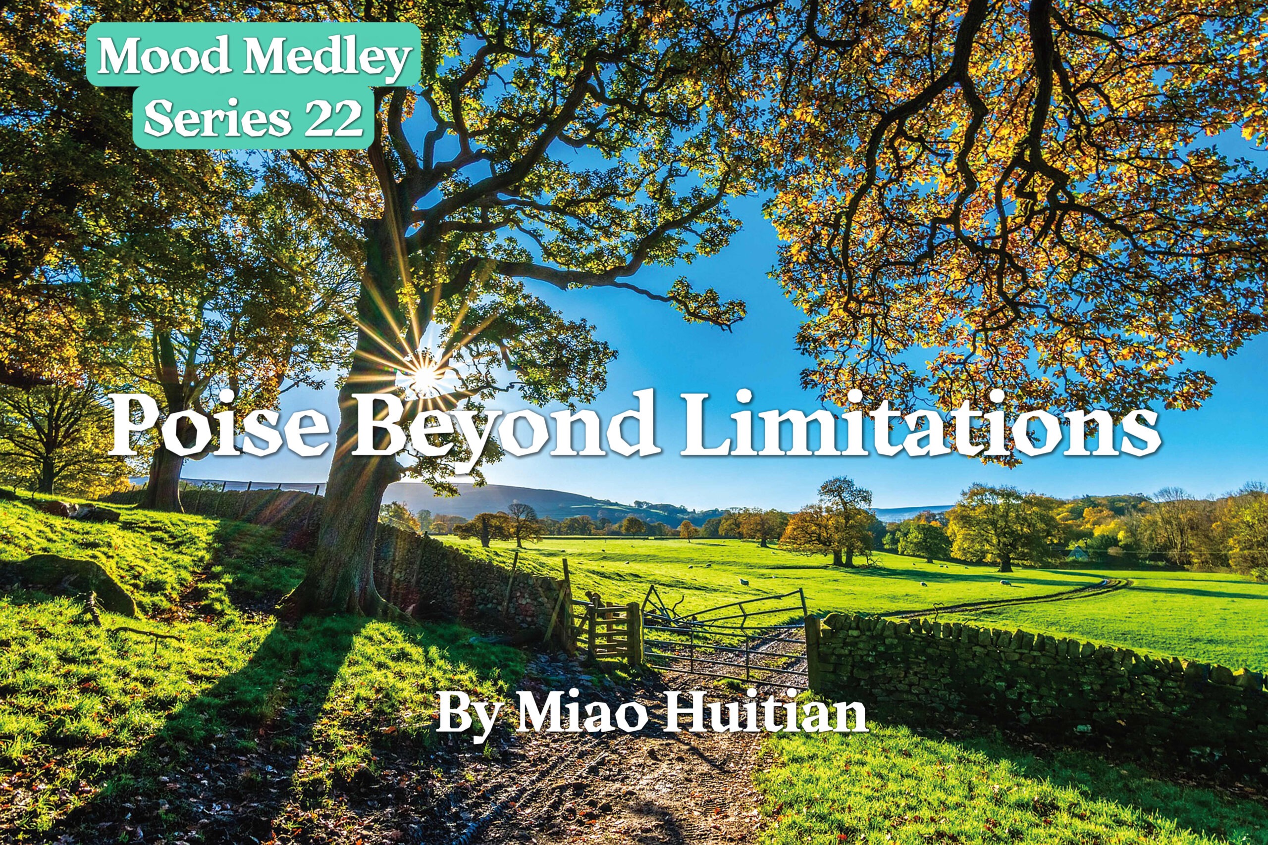 Grace Beyond Limitations 【Mood Medley】Series 22